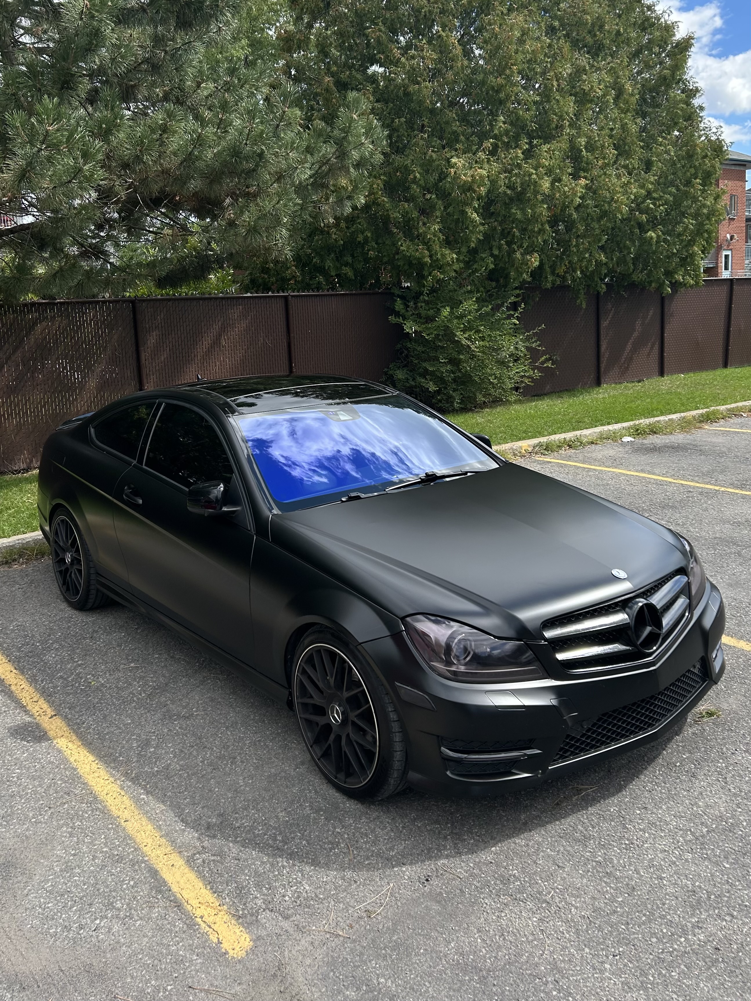 Professional vinyl wrap